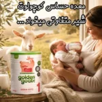 شیر خشک بز گلدن گات Golden Goat 400 گرم
